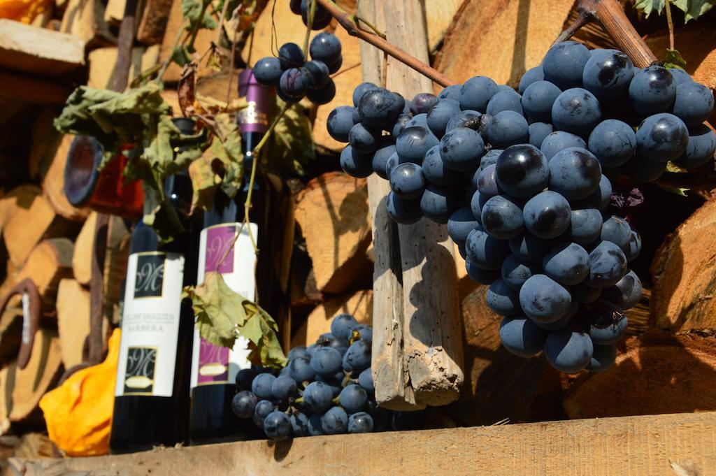 فيلا سالوزوفي Agriturismo Il Nido Di Bacco المظهر الخارجي الصورة